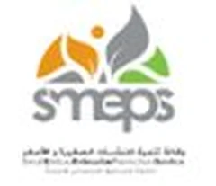 Small and Micro Enterprise Promotion Service (SMEPS)
